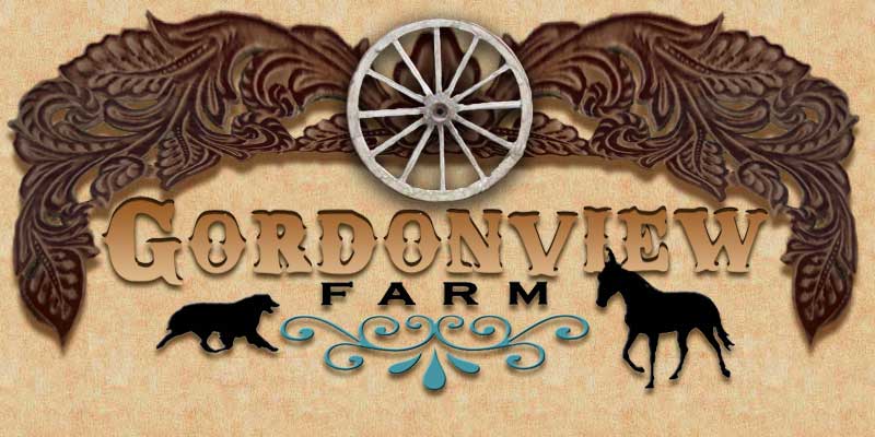 Gordonview Farm Mini Aussies